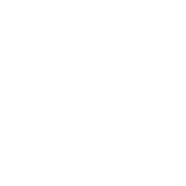 veeam logo