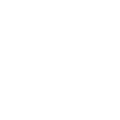 checkpoint logo