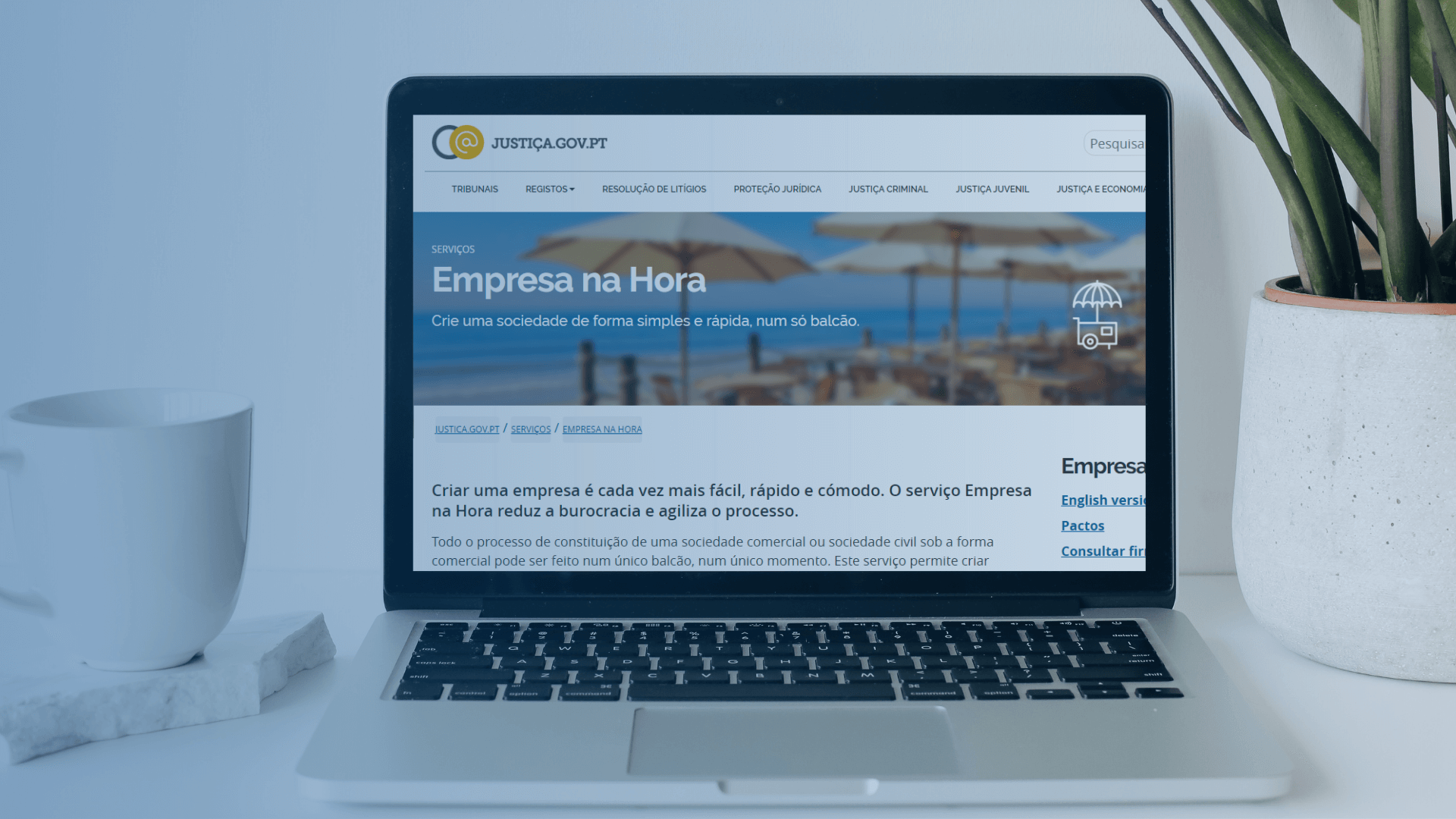 Tudo o que precisa saber para o seu Negocio 5